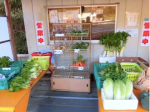 百菜