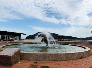 イルカの噴水